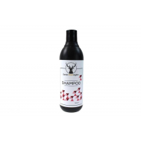 [Šampon Daniel Washington 500 ml]