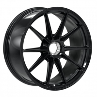 [PROLINE PFZ FORGED - BLACK GLOSSY]