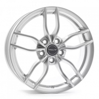 [PROLINE ZX100 - ARCTIC SILVER]