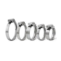 [Pozinkovaná hadicová spona PRO-F Standard s rozsahom 20-32 mm]