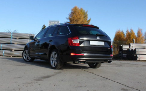 [Obr.: 94/02/92-skoda-octavia-5e-4x4-zadny-tlmic-pravy-lavy-220x80-typ-49-pravy-lavy-1690304183.jpg]